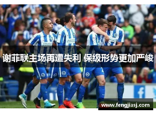 谢菲联主场再遭失利 保级形势更加严峻