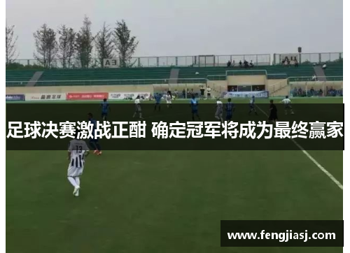 足球决赛激战正酣 确定冠军将成为最终赢家