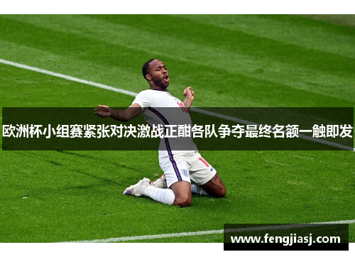 欧洲杯小组赛紧张对决激战正酣各队争夺最终名额一触即发