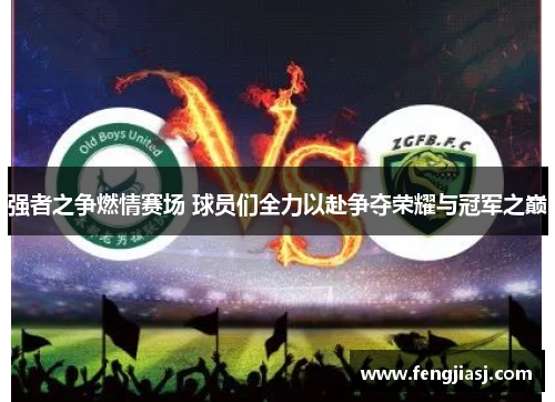 强者之争燃情赛场 球员们全力以赴争夺荣耀与冠军之巅