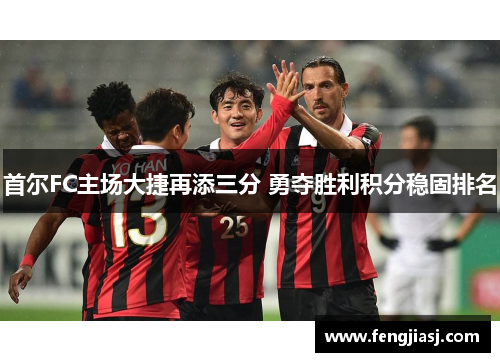 首尔FC主场大捷再添三分 勇夺胜利积分稳固排名
