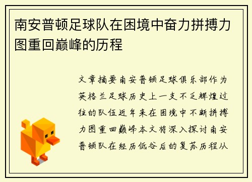 南安普顿足球队在困境中奋力拼搏力图重回巅峰的历程