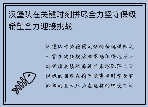 汉堡队在关键时刻拼尽全力坚守保级希望全力迎接挑战